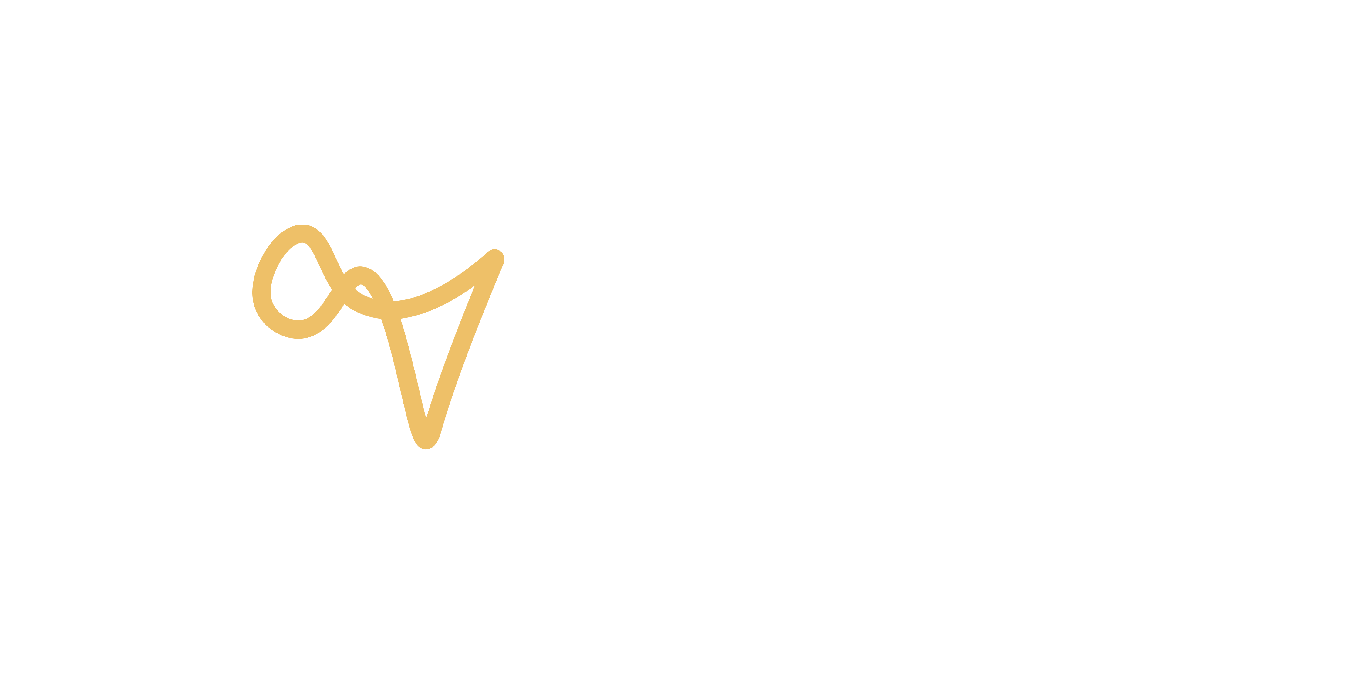 2 COLORS - VENTURES PLATFORM LOGOMARK